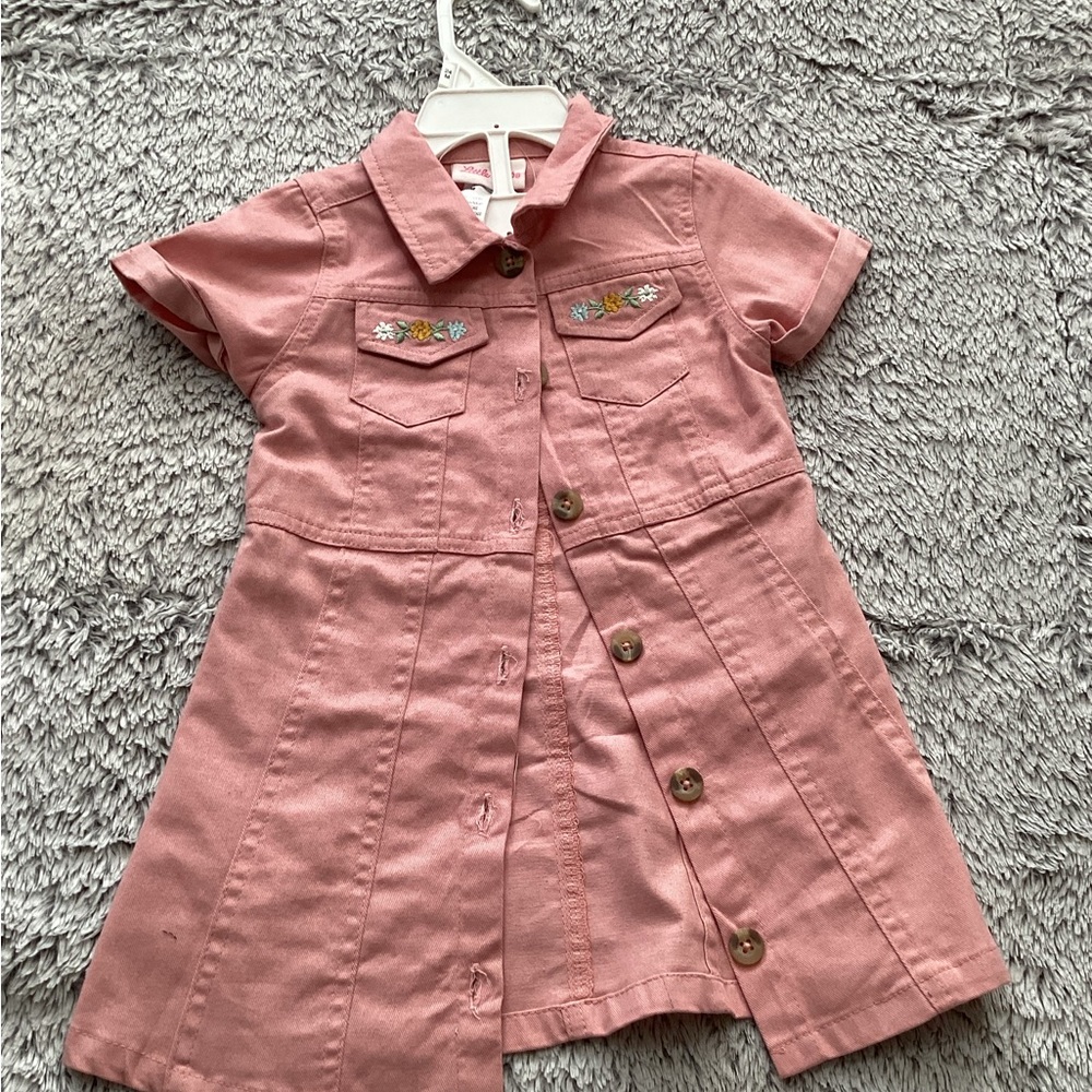 Little Lass Pink Casual Kids Dress